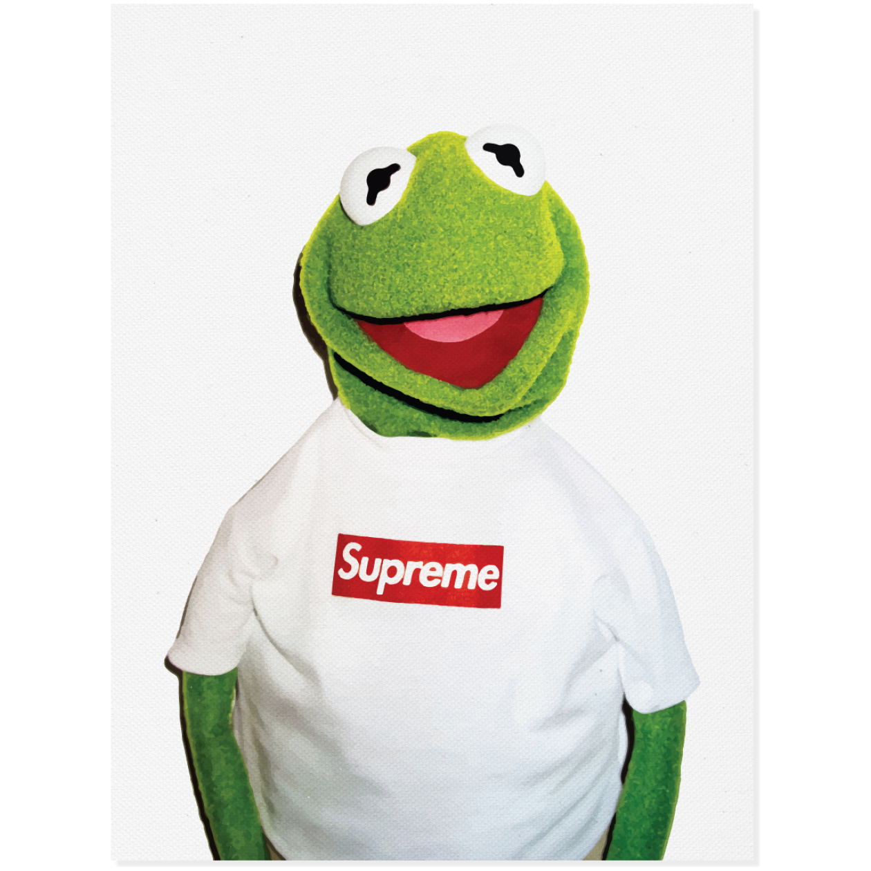 Obraz na płótnie Kermit x Supreme